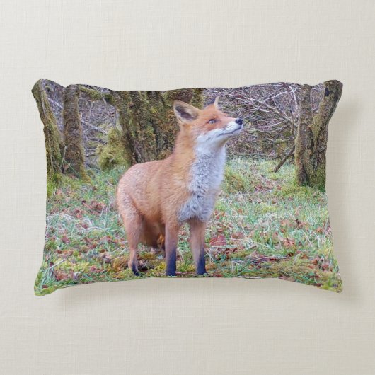 Customisable Red Fox Looking Up Cushion アクセントクッション (正面)