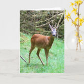 Customisable Roe Deer Buck Nature Lover カード (黄色い花)