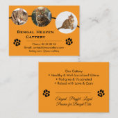 Customizable Bengal Cattery Business Card Template 名刺 (正面/裏面)