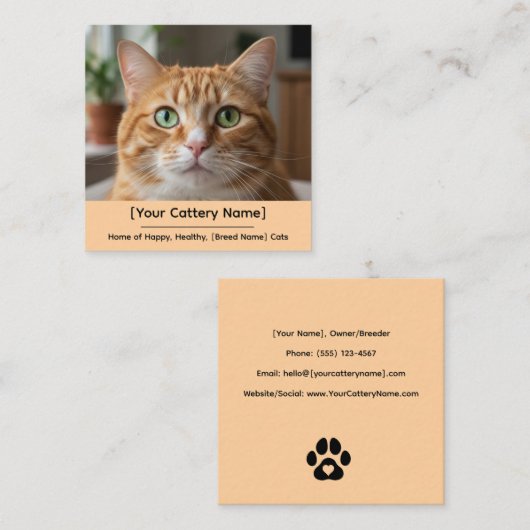 Customizable Cattery Business Card with Cat Photo  スクエア名刺 (正面/裏面)