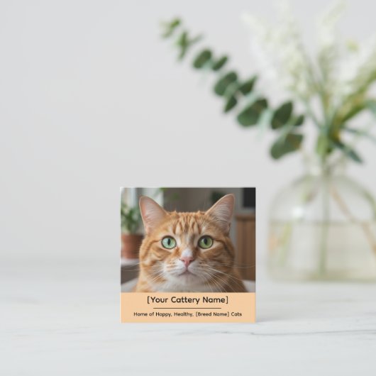 Customizable Cattery Business Card with Cat Photo  スクエア名刺 (スタンド正面)