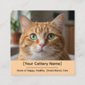 Customizable Cattery Business Card with Cat Photo  スクエア名刺 (正面)