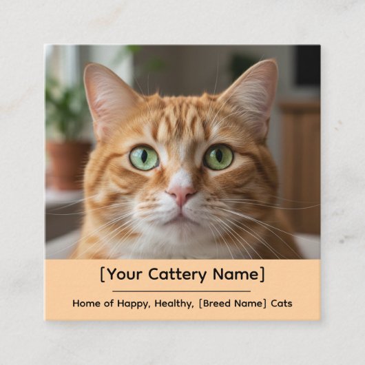Customizable Cattery Business Card with Cat Photo  スクエア名刺 (正面)