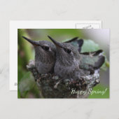 Customizable Cute Baby Hummingbirds Photo | ポストカード (正面/裏面)