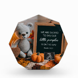 Customizable fallFall Pregnancy Announcement  フォトブロック