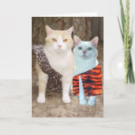 Customizable Funny Cat Birthday or Anniversary カード<br><div class="desc">BC Bubba & Missy with hopefully funny text which you can customize.  You could use it for several different occasions if you customize the text.</div>