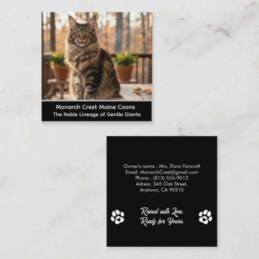 Customizable  Maine Coon Cat Cattery Business Card スクエア名刺 (正面/裏面)