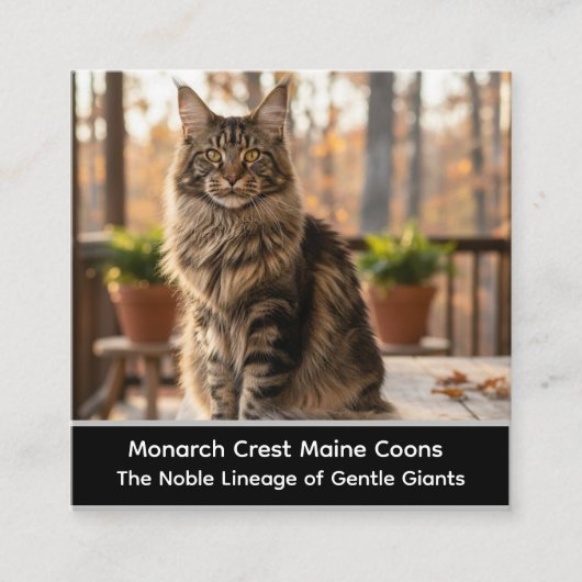 Customizable  Maine Coon Cat Cattery Business Card スクエア名刺 (正面)