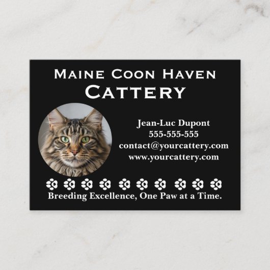 Customizable Maine Coon Cattery Business Card 名刺 (正面)