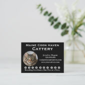 Customizable Maine Coon Cattery Business Card 名刺 (スタンド正面)