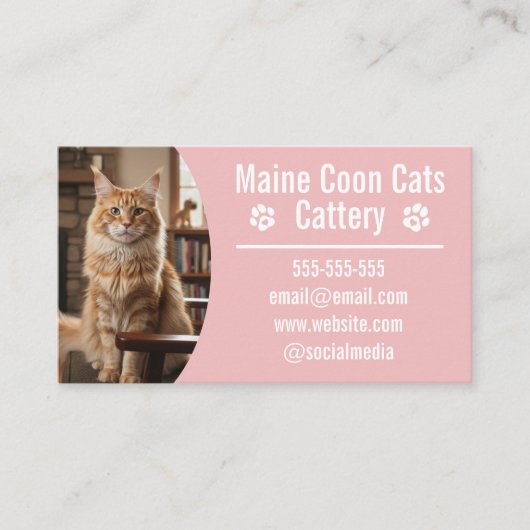 Customizable Maine Coon Cattery Business Cards 名刺 (正面)
