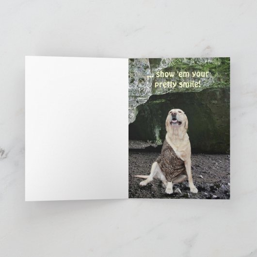 Customizable Old-timer カード (内部)