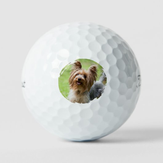 Customizable Pet Photo Pet Parents Golf Lover Gift ゴルフボール (正面)