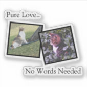 Customizable Pet Photo vinyl Sticker シール (正面)