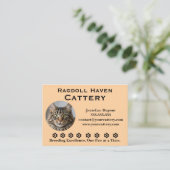 Customizable Ragdoll Cattery Business Card 名刺 (スタンド正面)