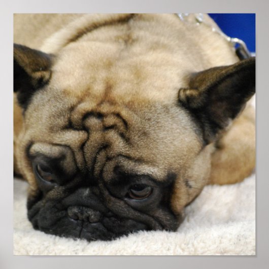 Customize Product ポスター (正面)