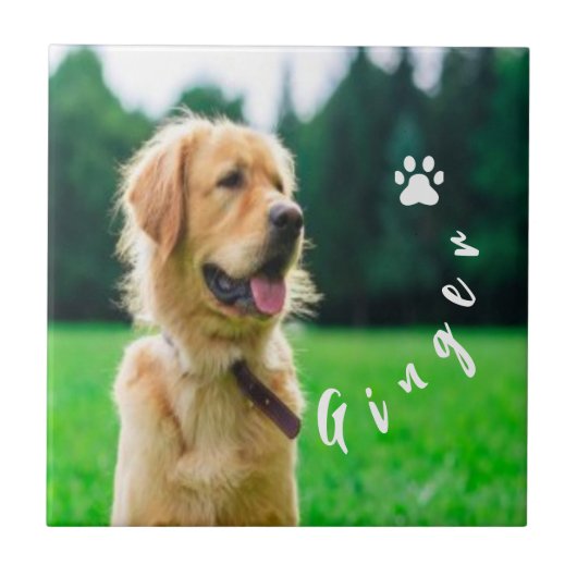  Customized Pet  Photo Dog Lover with Photo タイル (正面)