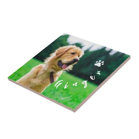  Customized Pet  Photo Dog Lover with Photo タイル (側面)