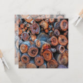 Cut Tree Logs Stacked Together Pattern Photograph カード (正面/裏面インサイチュ)