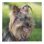 Cute &おもしろい犬（および/またはYOURフォト）キューブ フォトキューブ (右)