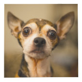 Cute &おもしろい犬（および/またはYOURフォト）キューブ フォトキューブ (正面)