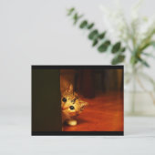 cute_おもしろい_animals_28子猫こっそりピアリング ポストカード (スタンド正面)