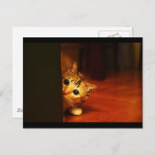 cute_おもしろい_animals_28子猫こっそりピアリング ポストカード (正面/裏面)