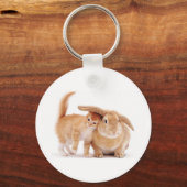 cute_おもしろい_animals_8子猫のウサギ仲間 キーホルダー (正面)