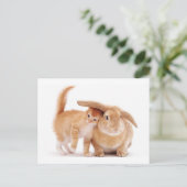 cute_おもしろい_animals_8子猫のウサギ仲間 ポストカード (スタンド正面)