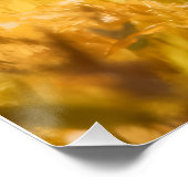 Cute ポスター (コーナー)