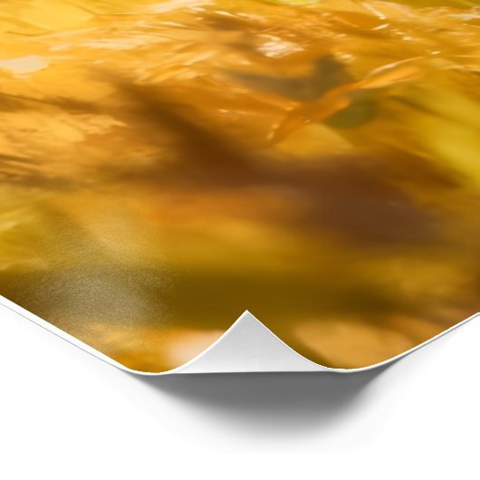 Cute ポスター (コーナー)