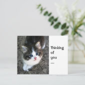 CUTE 「考える's of you」カスタマイズ可能 ポストカード (スタンド正面)