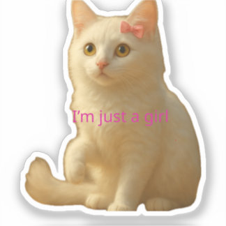 Cute Aesthetic Cat Sticker for Laptop and Girls シール