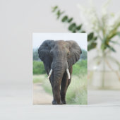cute African Elephant ポストカード (スタンド正面)