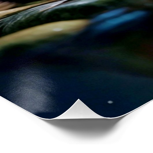 cute AI cat sits at lake / süsse KI Katze sitz  ポスター (コーナー)