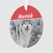 Cute Alaskan Malamute Dog Holiday Christmas Photo オーナメント (正面)