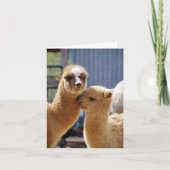 Cute Alpacasノートカード カード (正面)