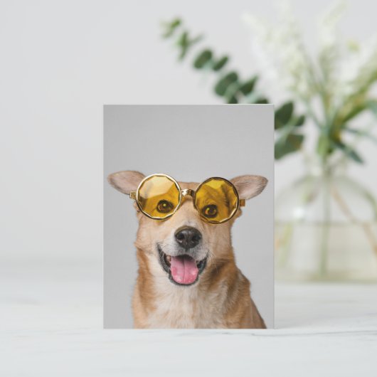 cute and funny dog with glasses ポストカード (スタンド正面)