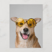 cute and funny dog with glasses  ポストカード (正面)