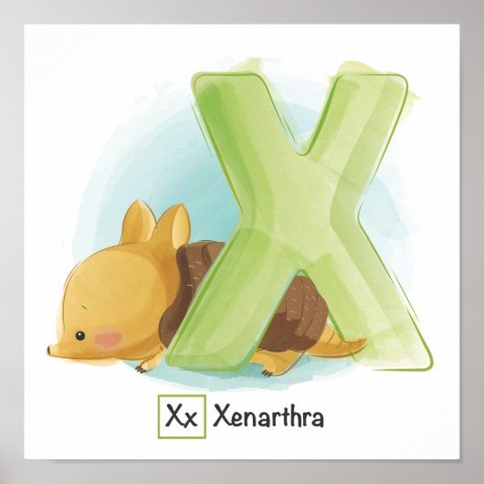 Cute Animal Alphabet ポスター (正面)