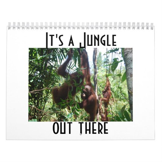 Cute Animal Photography Orangutan Calendar カレンダー (カバー)