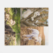 cute animal photos blanket フリースブランケット (正面(横))