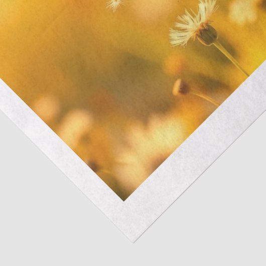 cute animals 薄葉紙 (詳細)