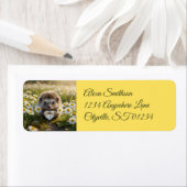 Cute April Hedgehog with Diamond Heart ラベル (インサイチュ)