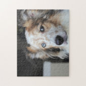 Cute Australian Shepherd Dog Portrait ジグソーパズル (縦)