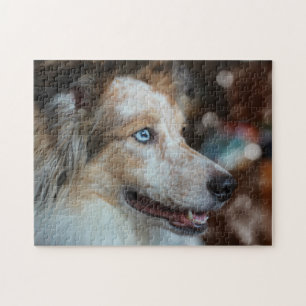 Cute Australian Shepherd Dog Portrait ジグソーパズル