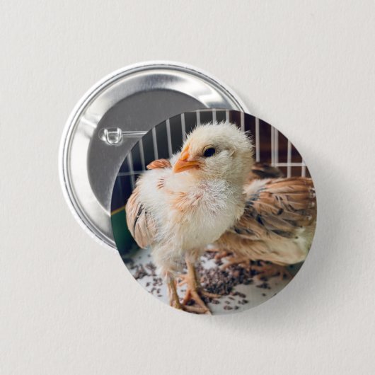 Cute Baby Chick Round Button 缶バッジ (正面&裏面)