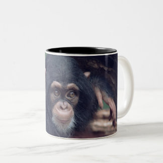 cute baby Chimpanzee ツートーンマグカップ