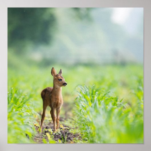 Cute Baby Deer Fawn in Grass Nature Photography ポスター (正面)