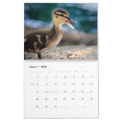 Cute Baby Ducks 2025 Wall Calendar カレンダー (3月 2026)